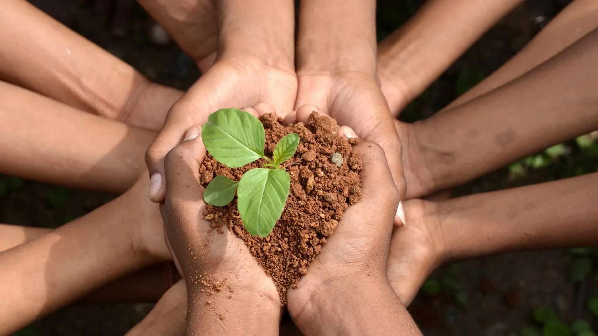 Environmental Stewardship